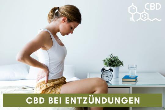 CBD (Cannabidiol) bei Entzündungen