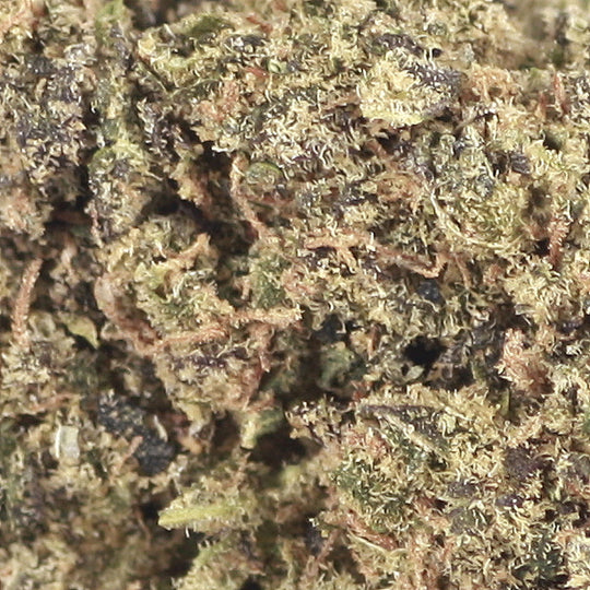 Purple Haze | 46% CBD
