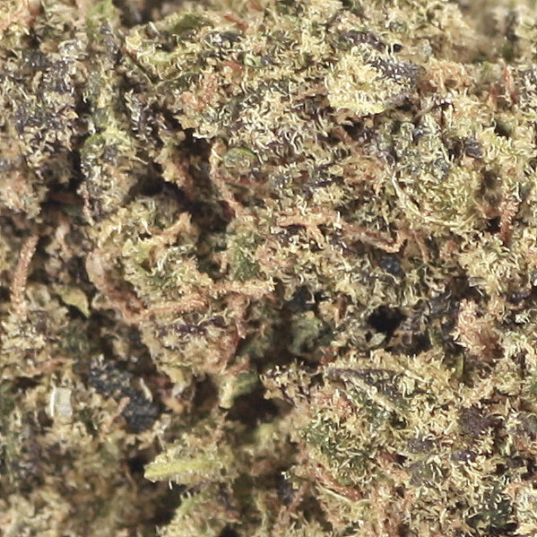 avibes® CBD Blüten | 45% CBD 0% THC | Purple Haze