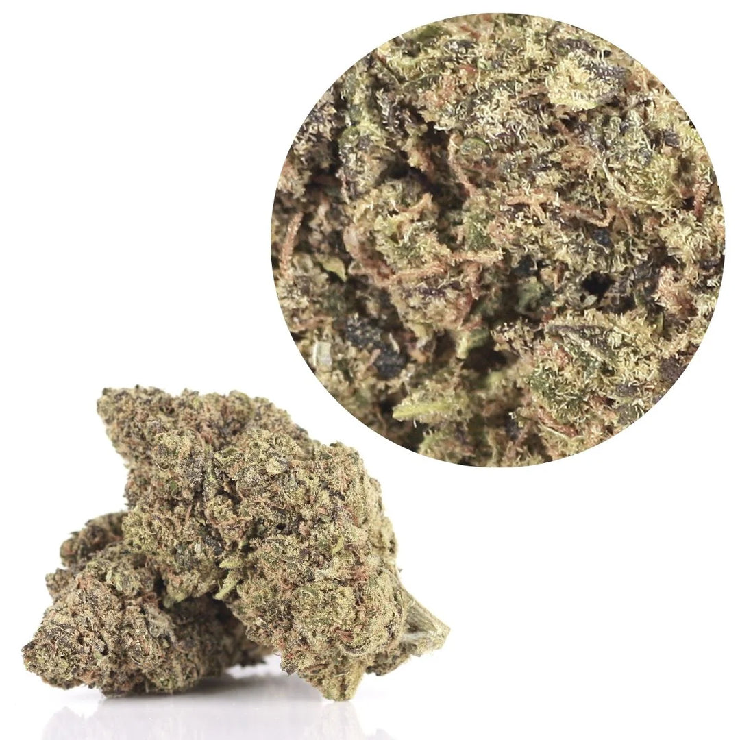 avibes® CBD Blüten | 45% CBD 0% THC | Purple Haze